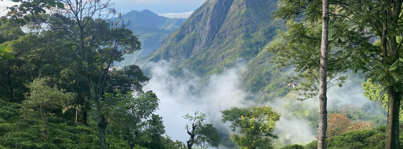 10x Wat te Doen in Ella, Sri Lanka